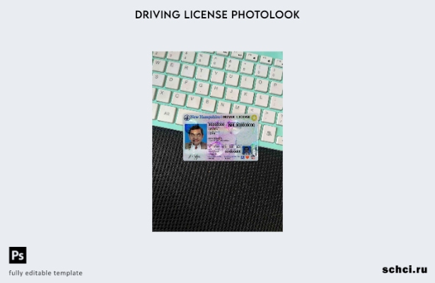 цифровая загрузка США, Нью Гемпшир, шаблон DL Photolook FRONT