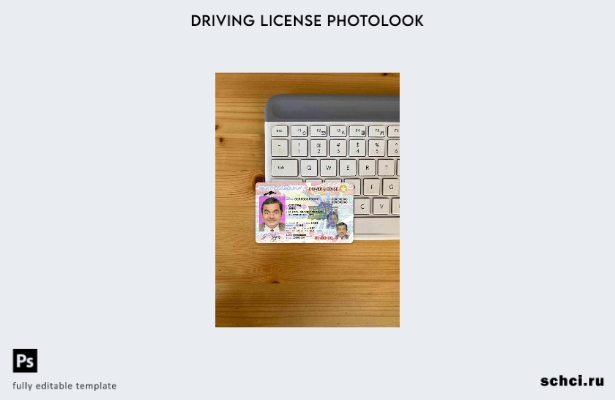 цифровая загрузка США, Северная Каролина, шаблон DL Photolook FRONT