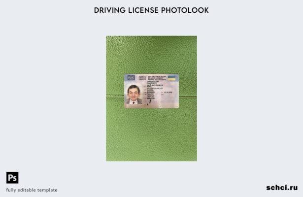цифровая загрузка Украина водительские права подарок фотовид переднего шаблона