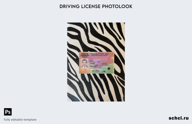 цифровая загрузка водительских прав Гвинеи Бисау, фотообраз переднего шаблона