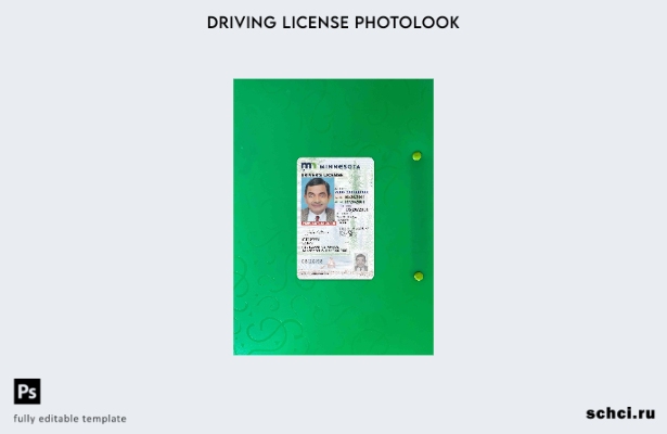 цифровая загрузка водительских прав США, штат Миннесота, под шаблоном Photolook