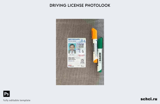 цифровая загрузка водительских прав США, штат Мичиган, под шаблоном Photolook FR