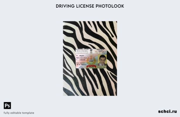 цифровая загрузка шаблона FRONT для Индии CISF DL Photolook