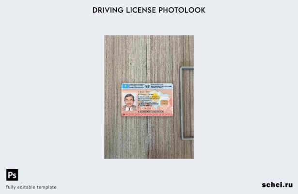 цифровая загрузка шаблона FRONT для Казахстана DL photolook
