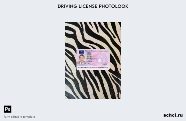 цифровая загрузка шаблона France DL Photolook FRONT