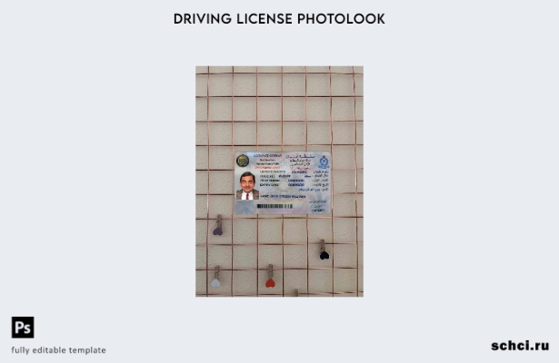 цифровая загрузка шаблона Oman DL Photolook FRONT