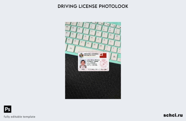 цифровая загрузка шаблона Tonga DL Photolook FRONT