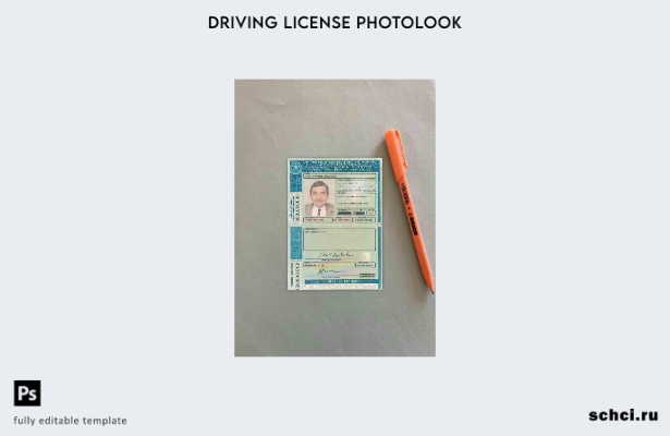 цифровая загрузка Brazil DL (Detran Pe[Pernambuco) шаблон фотообзора