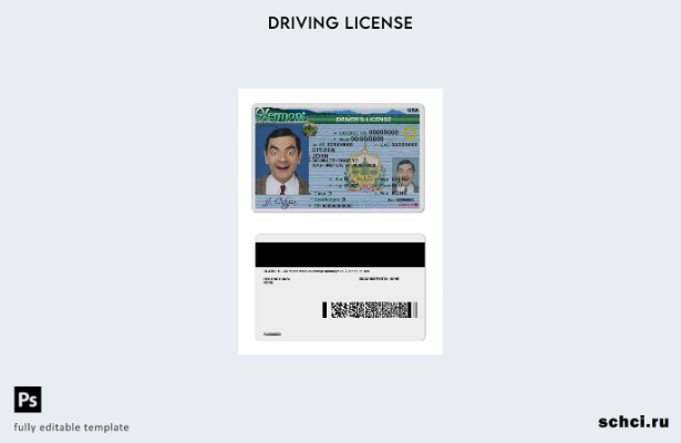 цифровая загрузка шаблона USA Vermont DL ( )