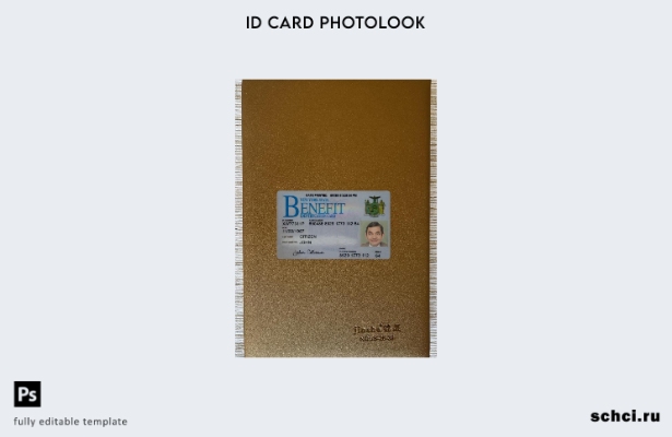 цифровая загрузка США Нью Йорк Пособие ID карта фотообраз переднего шаблона