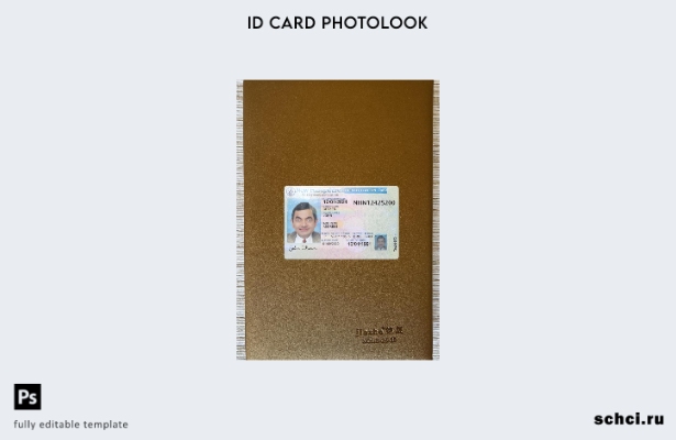 цифровая загрузка, США, Нью Гэмпшир, фотоизображение, удостоверение личности, пе