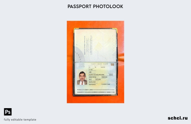 цифровая загрузка шаблона фотографии Исландского пропуска