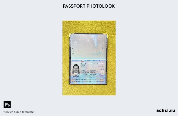 цифровая загрузка шаблона фотоизображения для паспорта Чили