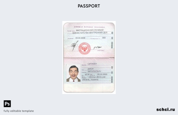 скачать цифровой образец паспорта Донецкой Народной Республики
