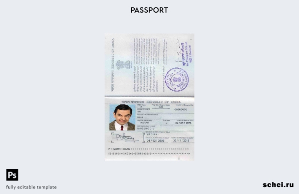 скачать цифровой шаблон паспорта Индии