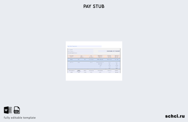 скачать в цифровом формате шаблон отчета о прибылях и убытках Stub Samples INC