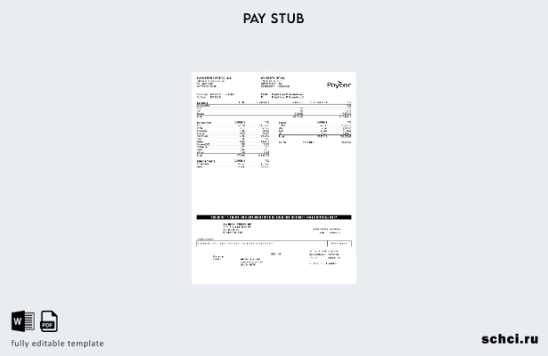 цифровая загрузка шаблона отчета о прибылях и убытках Paycor BWI North America,
