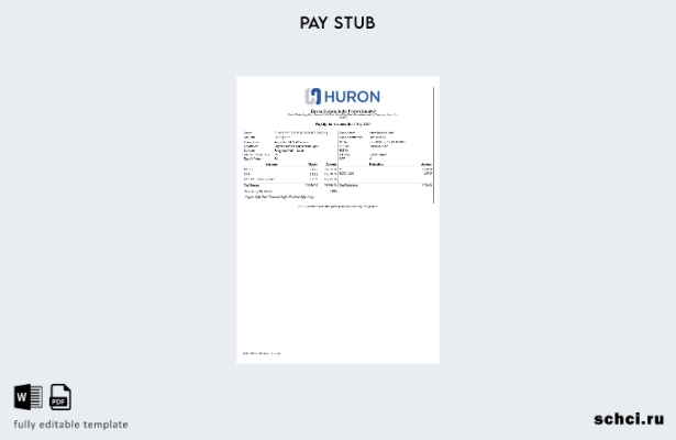 цифровая загрузка шаблона платежной ведомости Huron Eurasia India
