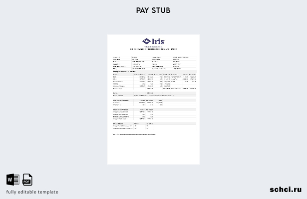 цифровая загрузка шаблона расчетной ведомости Iris Software Technologies