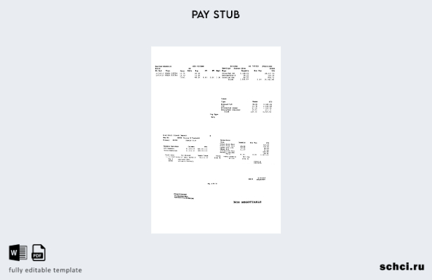цифровая загрузка шаблона Bee Clean Industrial Ltd. PayStub