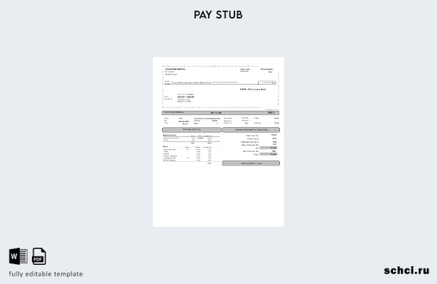 цифровая загрузка шаблона Oceanview Medical Paystub