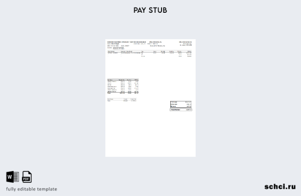 цифровая загрузка шаблона PayStub IMKO Enterprises Inc