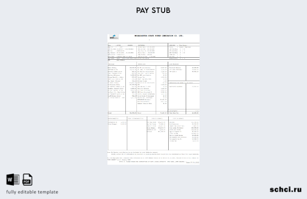 цифровая загрузка шаблона Paystub Государственной электроэнергетической компании