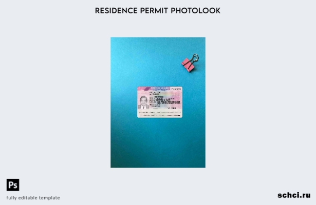 цифровая загрузка версии вида на жительство во Франции фотообраз шаблона FRONT