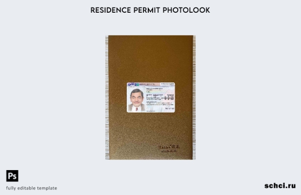 цифровая загрузка вида на жительство в Германии, фотоизображение, шаблон ПЕРЕДНЕ