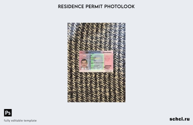 цифровая загрузка карты вида на жительство в Германии фотообраз шаблона ПЕРЕДНЕЙ