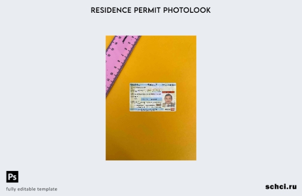 цифровая загрузка шаблона вида на жительство в Японии с фотоизображением ПЕРЕДНЕ
