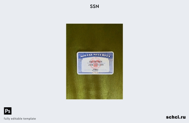 цифровая загрузка США SSN фотоальбом зеленый текстильный фон шаблон ПЕРЕДНЕЙ сто