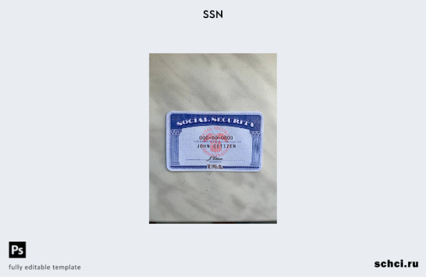 цифровая загрузка США SSN фотообраз белый фон ПЕРЕДНИЙ шаблон