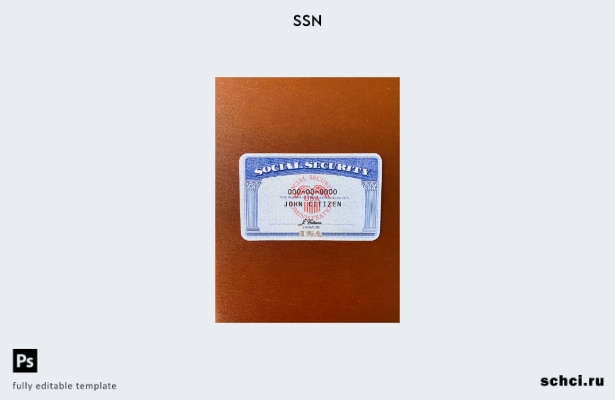 цифровая загрузка США SSN фотообраз коричневый фон шаблон ПЕРЕДНЯЯ сторона