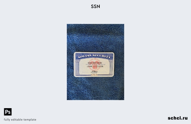 цифровая загрузка США SSN фотообраз синий текстильный фон шаблон ПЕРЕДНЕЙ сторон