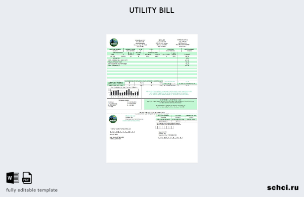 скачать цифровой шаблон счета за коммунальные услуги США Tennessee Mountain Elec