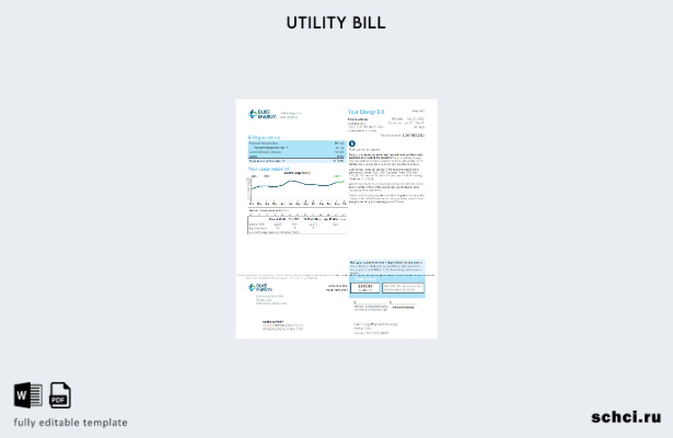 цифровая загрузка шаблона версии счета за коммунальные услуги США Duke Energy 2