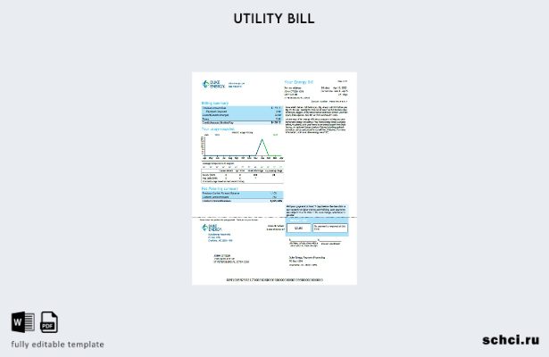 цифровая загрузка шаблона версии счета за коммунальные услуги США Duke Energy 4
