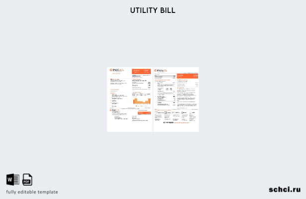 цифровая загрузка шаблона страниц счетов за электроэнергию PSEG в США, Нью Джерс