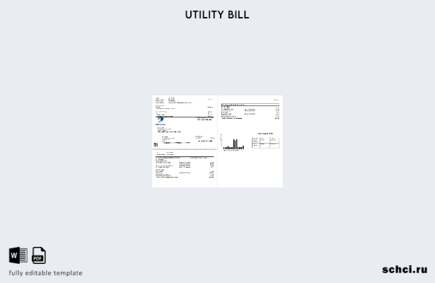 цифровая загрузка шаблона счета за коммунальные услуги США DTE Energy (страницы)