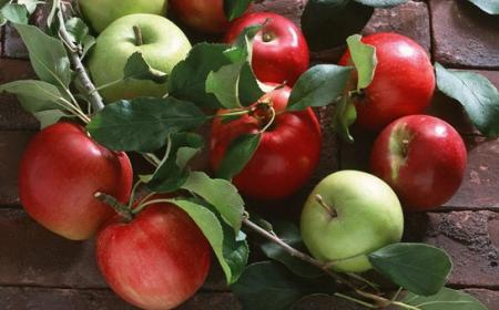Праздник яблочный спас. История праздника Яблочный Спас (Преображение Господне)