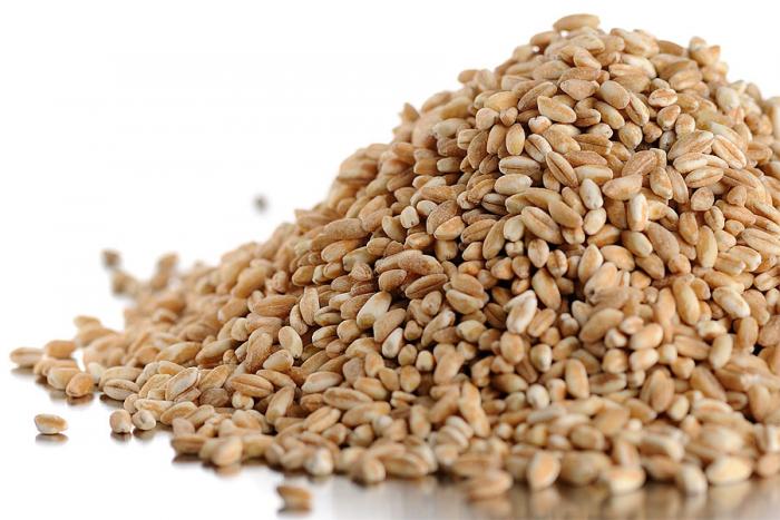 пшеничное зерно
